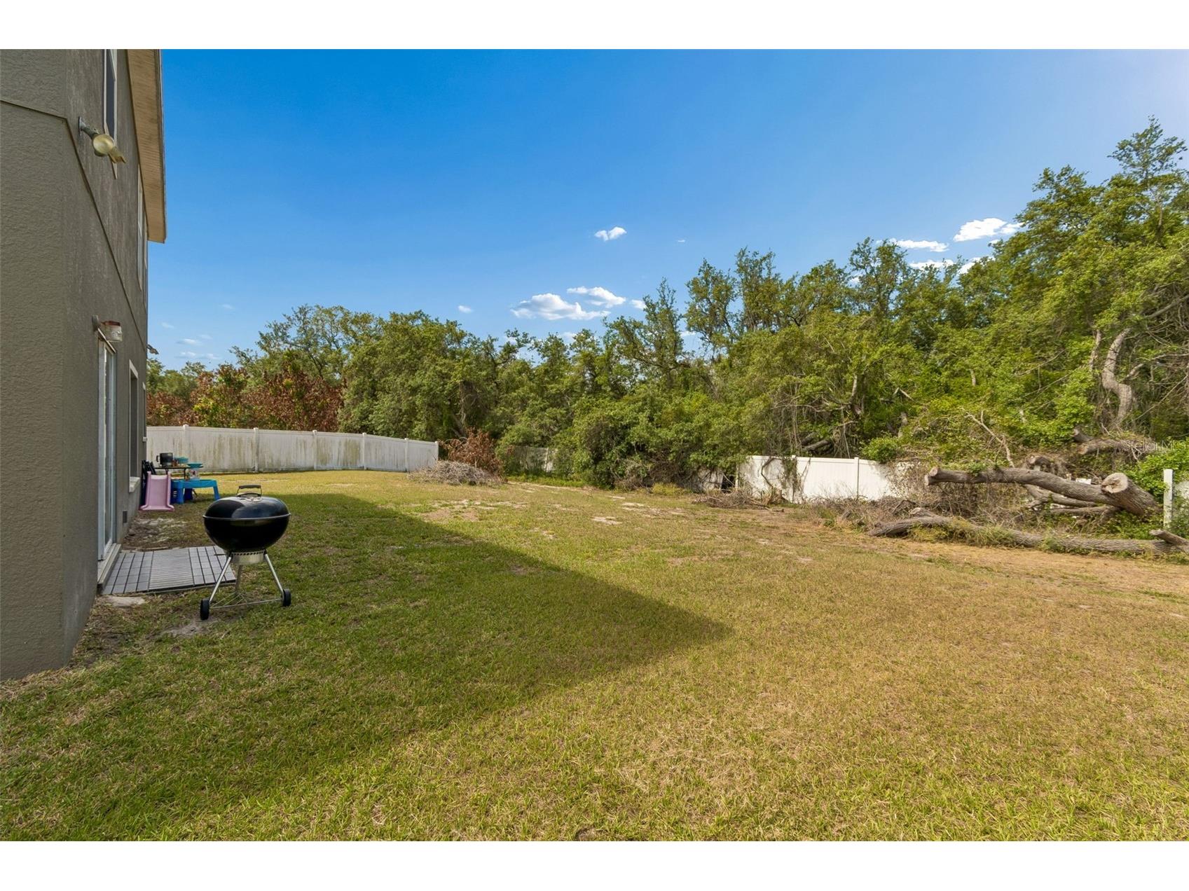 10620 Carloway Hills Drive Wimauma FL 33598 TB8516645 image32
