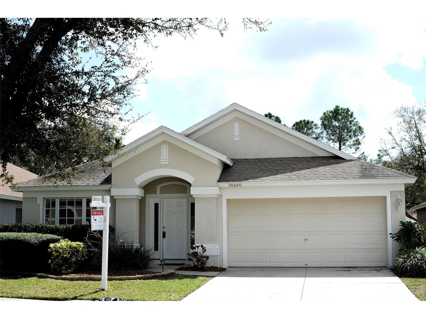 10620 Egret Haven Lane Riverview FL 33578 TB8485108 image1