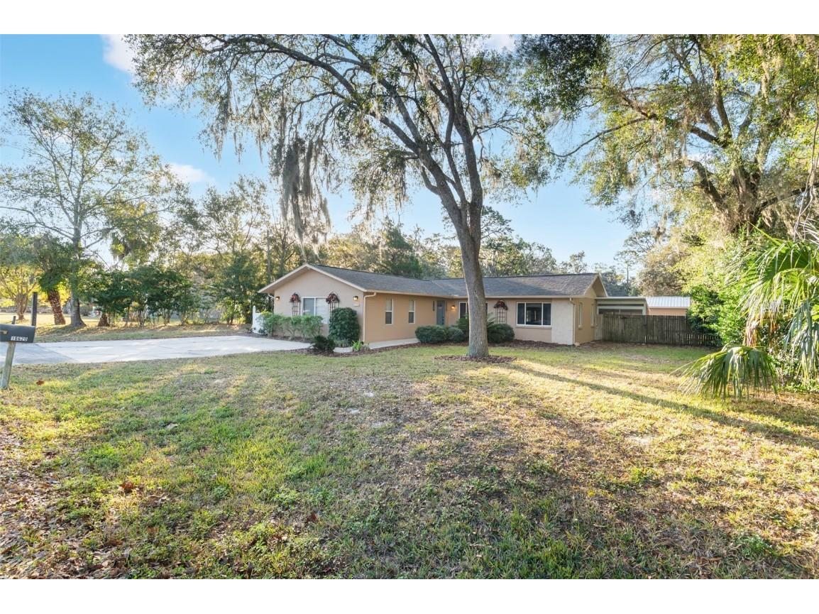 10620 Fawn Drive New Port Richey FL 34654 TB8456556 image11