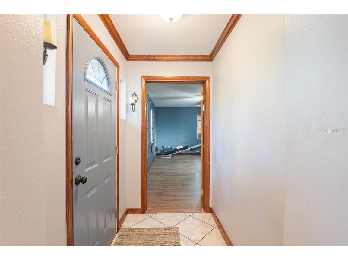 10620 Fawn Drive New Port Richey FL 34654 TB8456556 image17