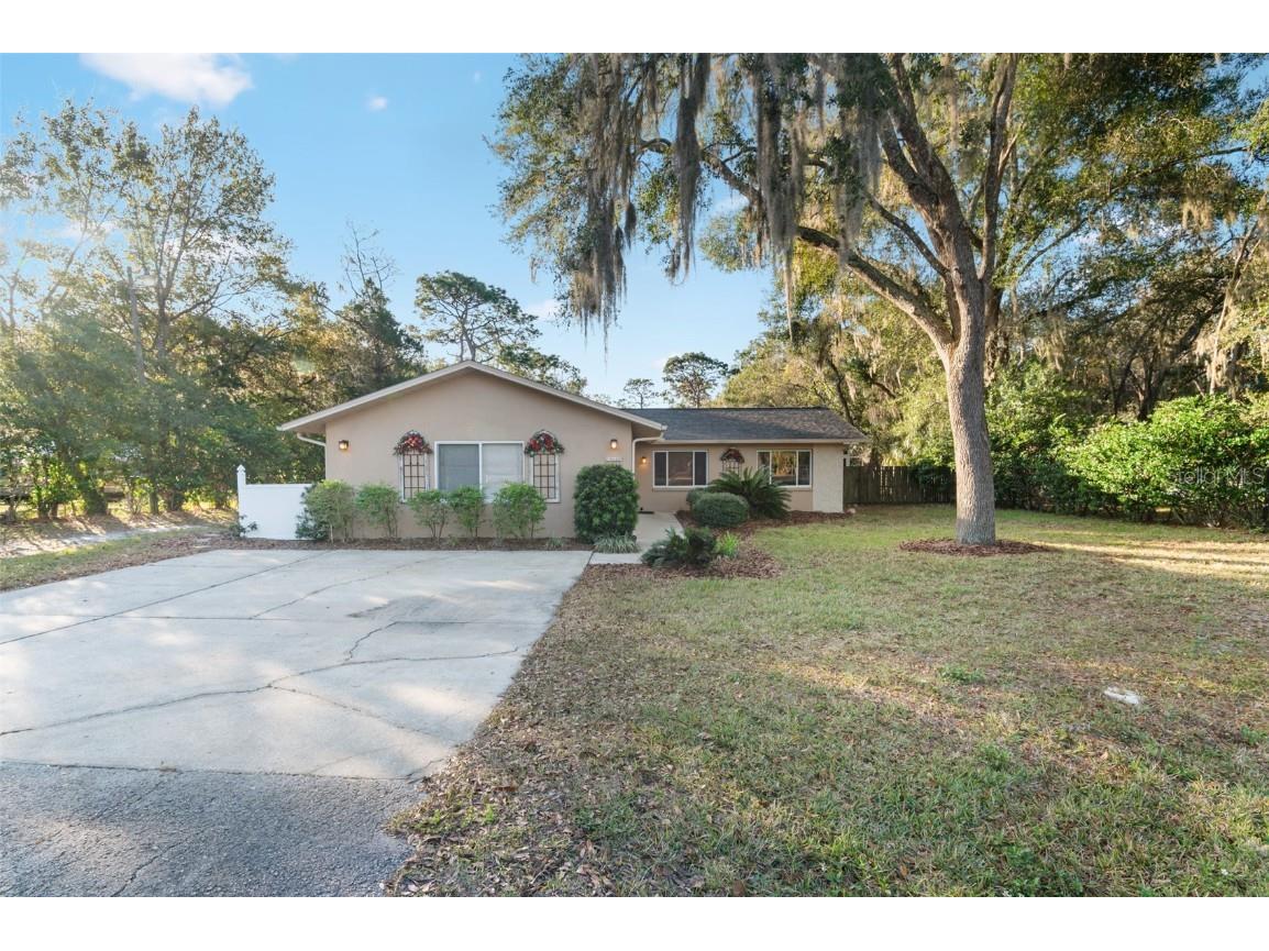 10620 Fawn Drive New Port Richey FL 34654 TB8456556 image47