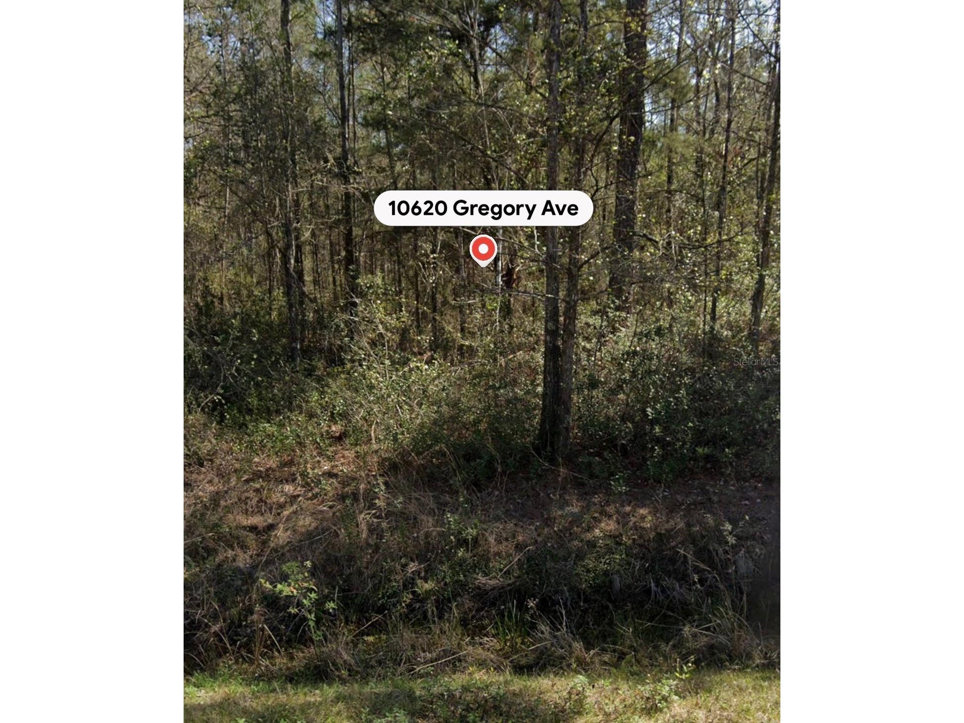 10620 Gregory Avenue Hastings FL 32145 A4699143 image3