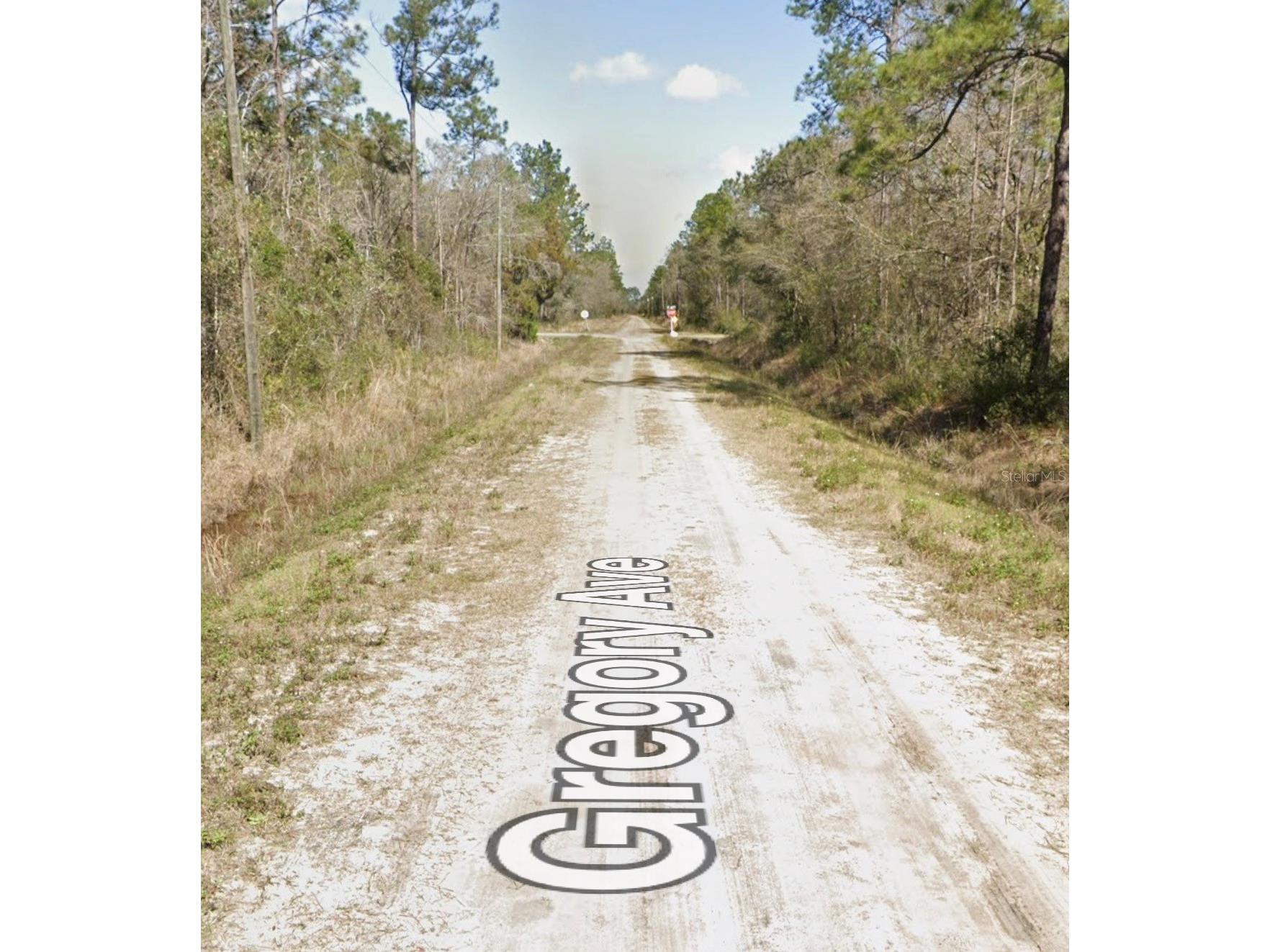 10620 Gregory Avenue Hastings FL 32145 A4699143 image4
