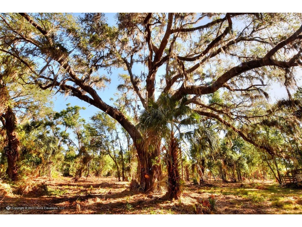 10620 S County Road 39 Lithia FL 33547 T3443361 image1