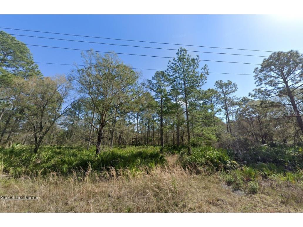 10620 Yeager Avenue Hastings FL 32145 A4686505 image1