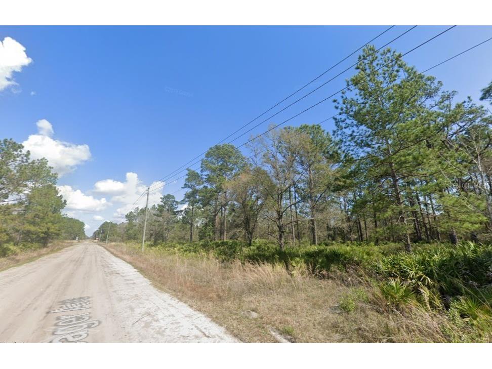 10620 Yeager Avenue Hastings FL 32145 A4686505 image2