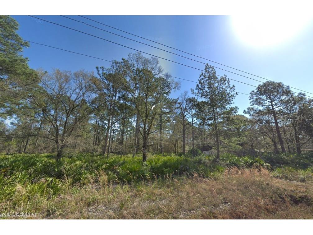 10620 Yeager Avenue Hastings FL 32145 A4686505 image3