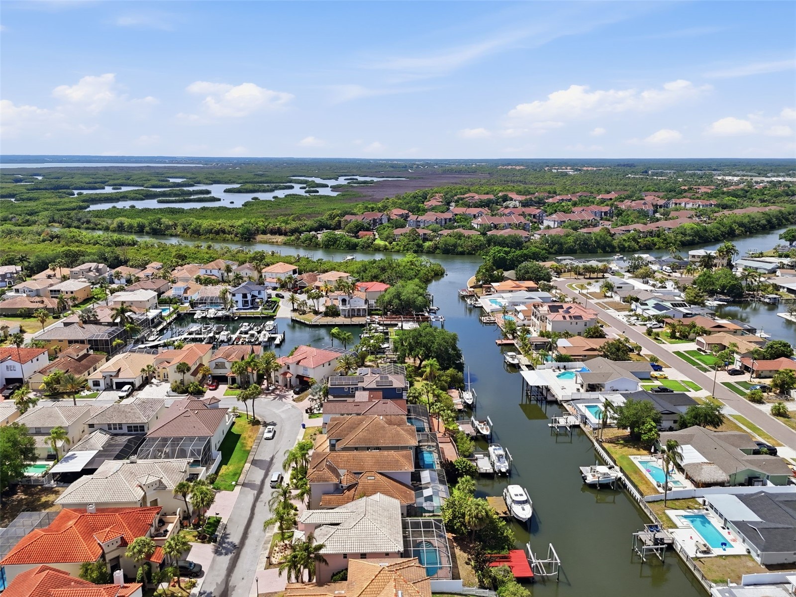 10621 Hatteras Drive Tampa FL 33615 TB8503092 image55