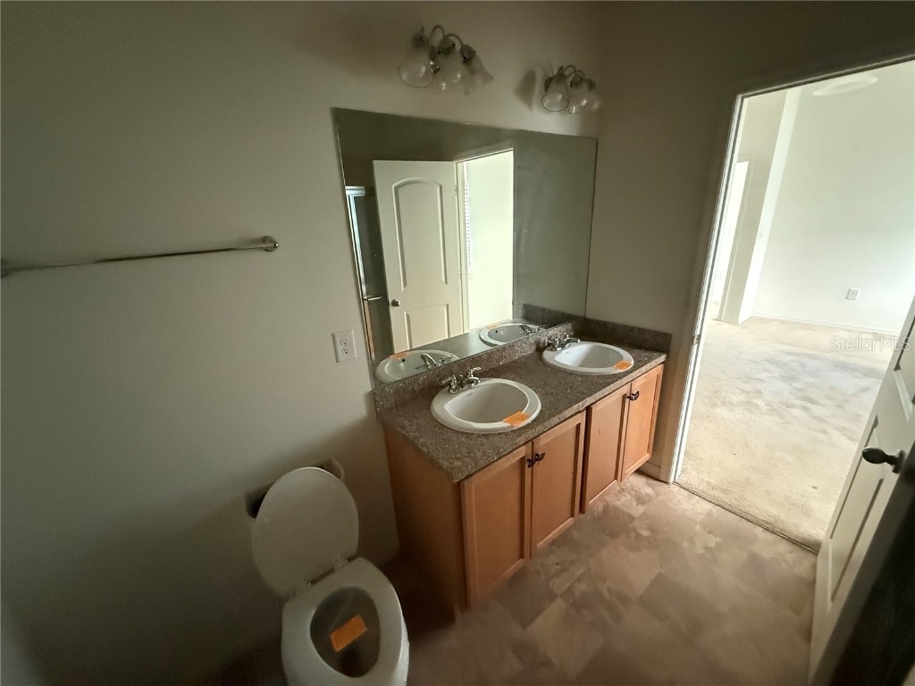 10621 Laguna Plains Drive Riverview FL 33578 TB8435555 image12