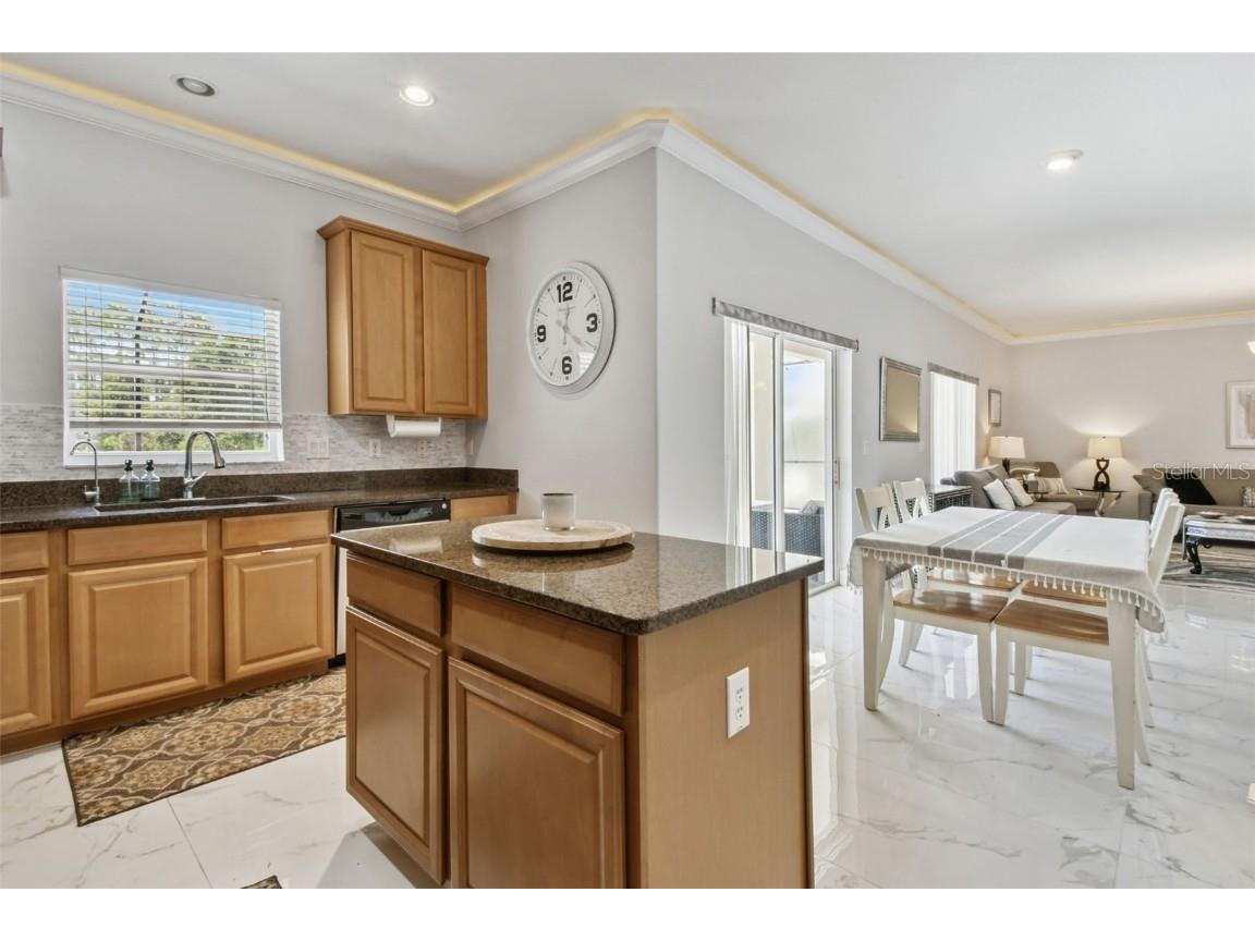 10621 Lucaya Drive Tampa FL 33647 TB8433218 image20