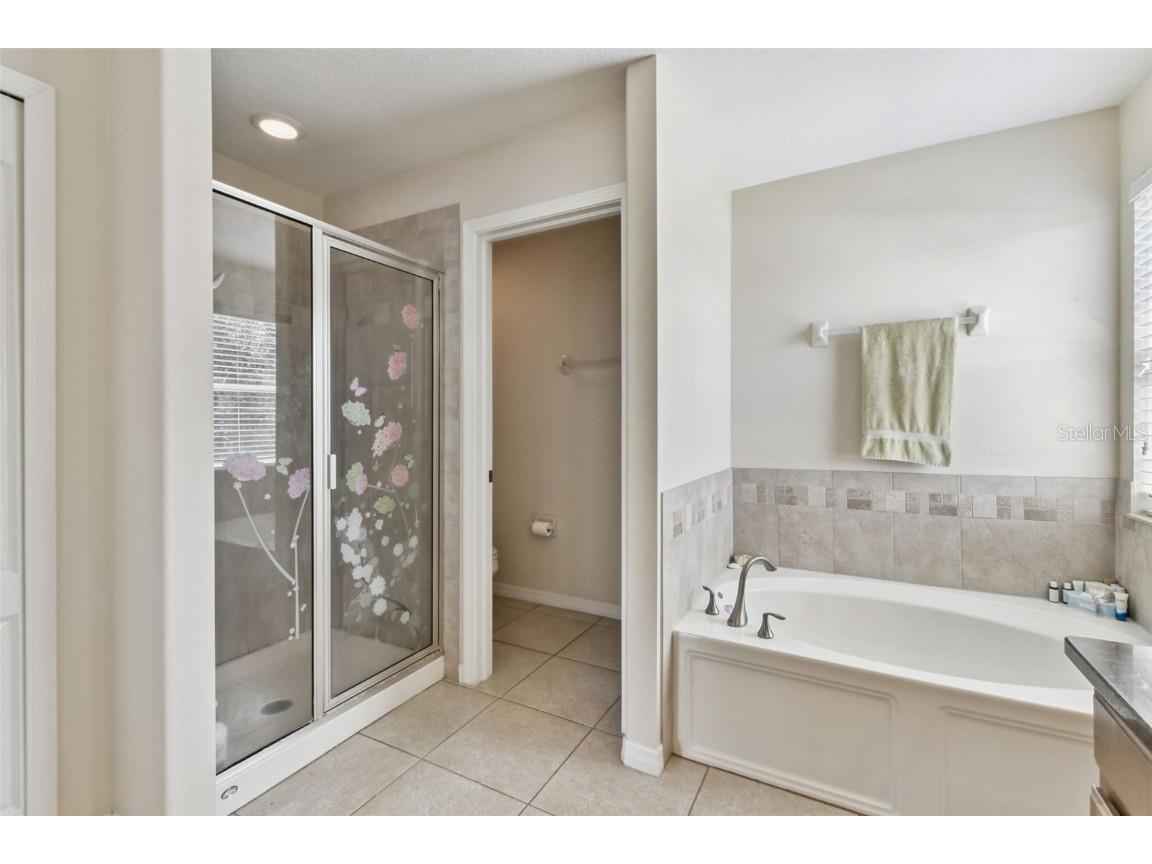 10621 Lucaya Drive Tampa FL 33647 TB8433218 image37