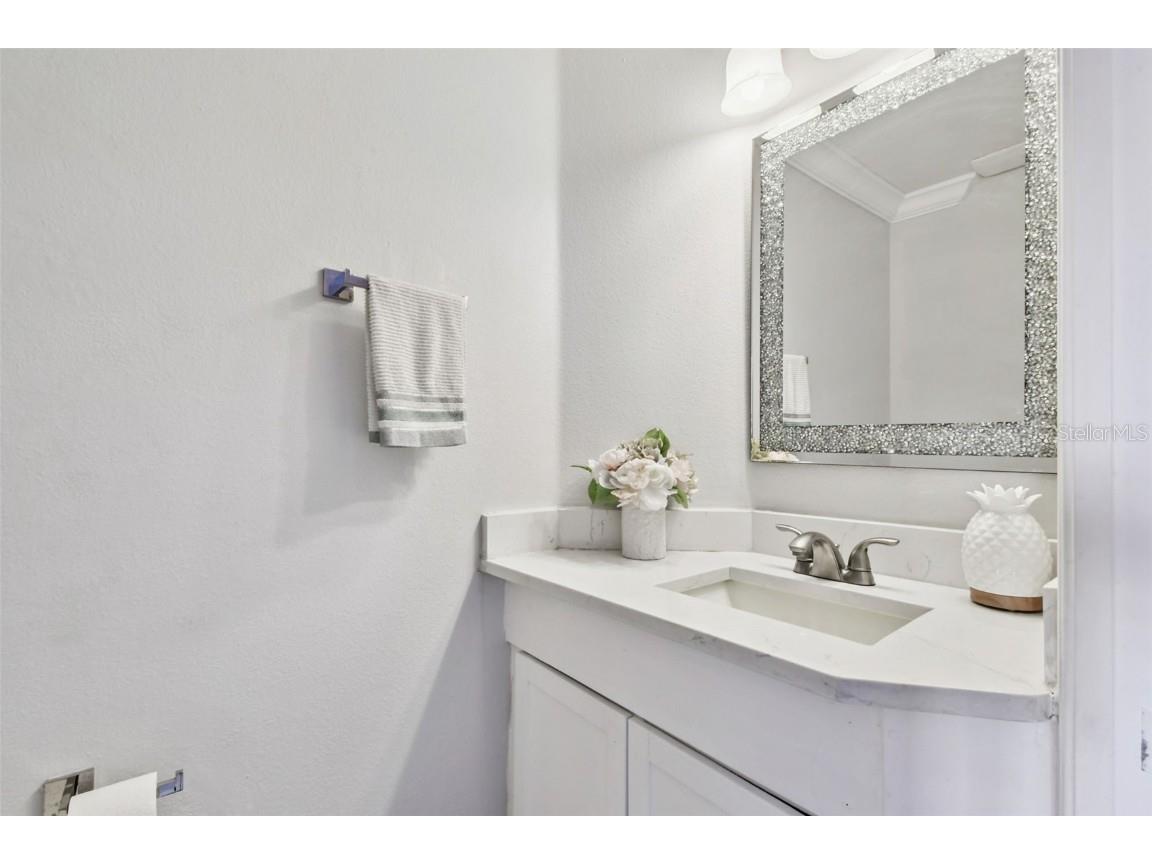 10621 Lucaya Drive Tampa FL 33647 TB8433218 image47