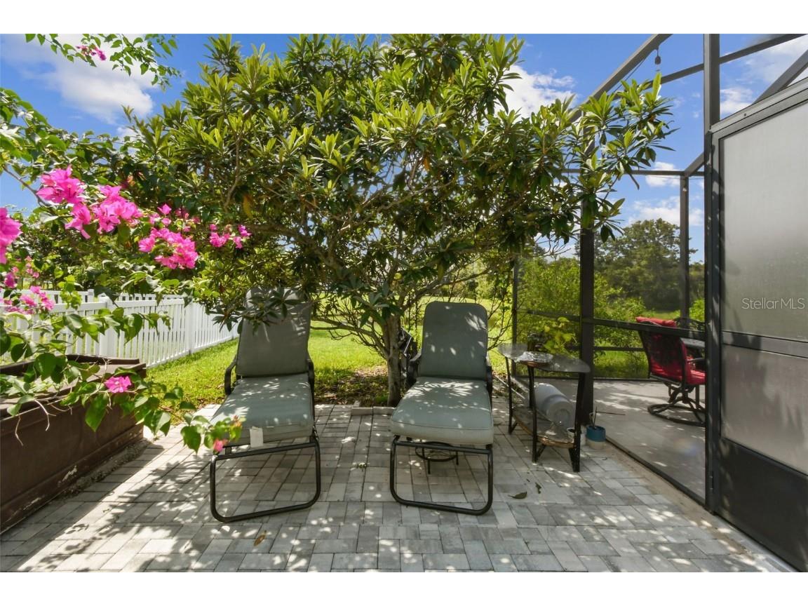 10621 Lucaya Drive Tampa FL 33647 TB8433218 image59