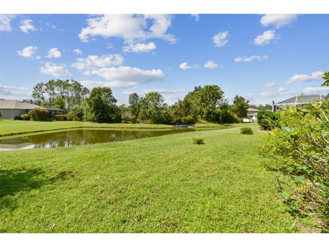 10621 Lucaya Drive Tampa FL 33647 TB8433218 image60