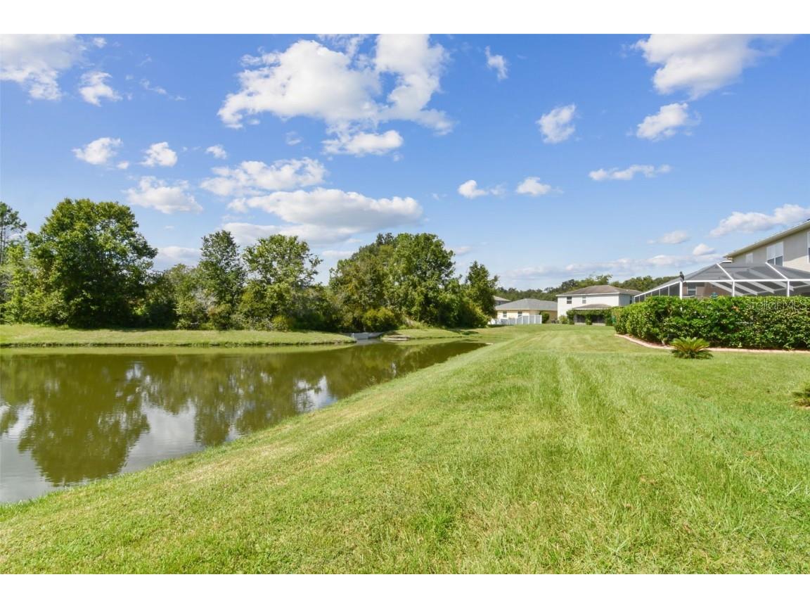 10621 Lucaya Drive Tampa FL 33647 TB8433218 image62