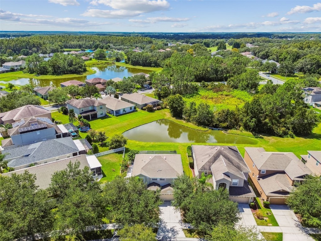 10621 Lucaya Drive Tampa FL 33647 TB8433218 image68