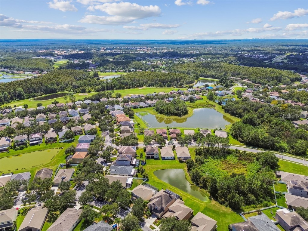 10621 Lucaya Drive Tampa FL 33647 TB8433218 image70