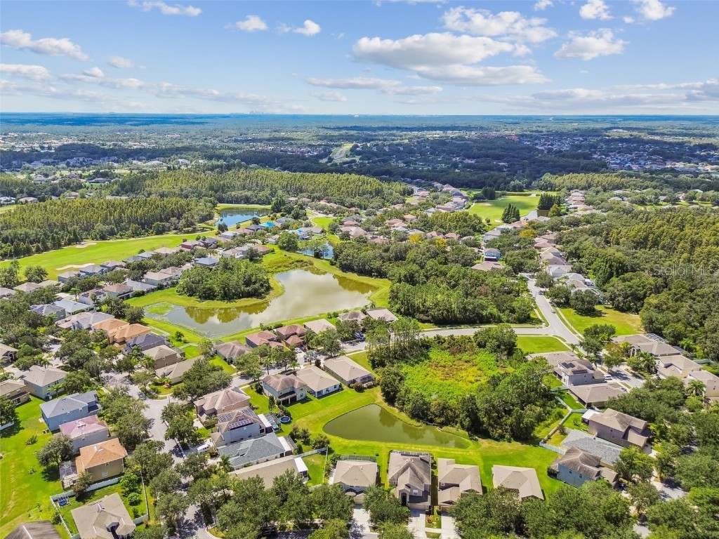 10621 Lucaya Drive Tampa FL 33647 TB8433218 image71