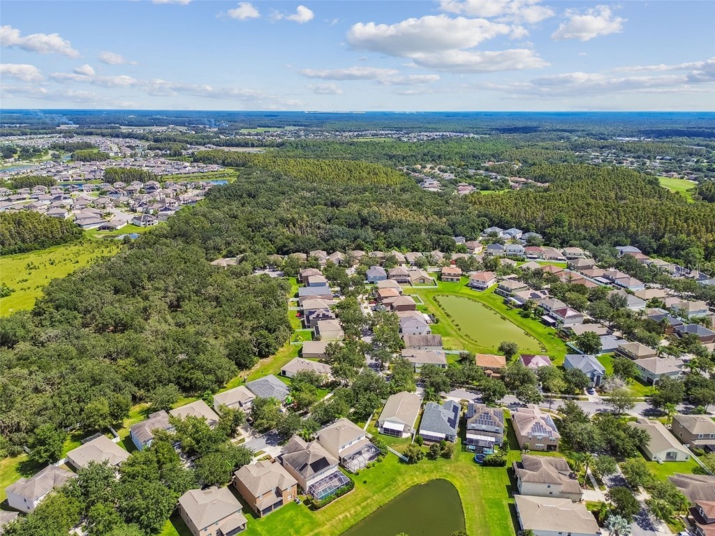 10621 Lucaya Drive Tampa FL 33647 TB8433218 image72