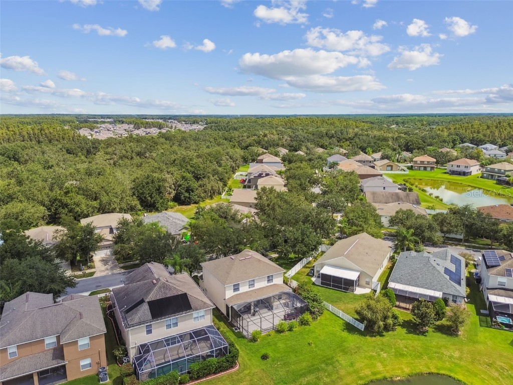 10621 Lucaya Drive Tampa FL 33647 TB8433218 image76