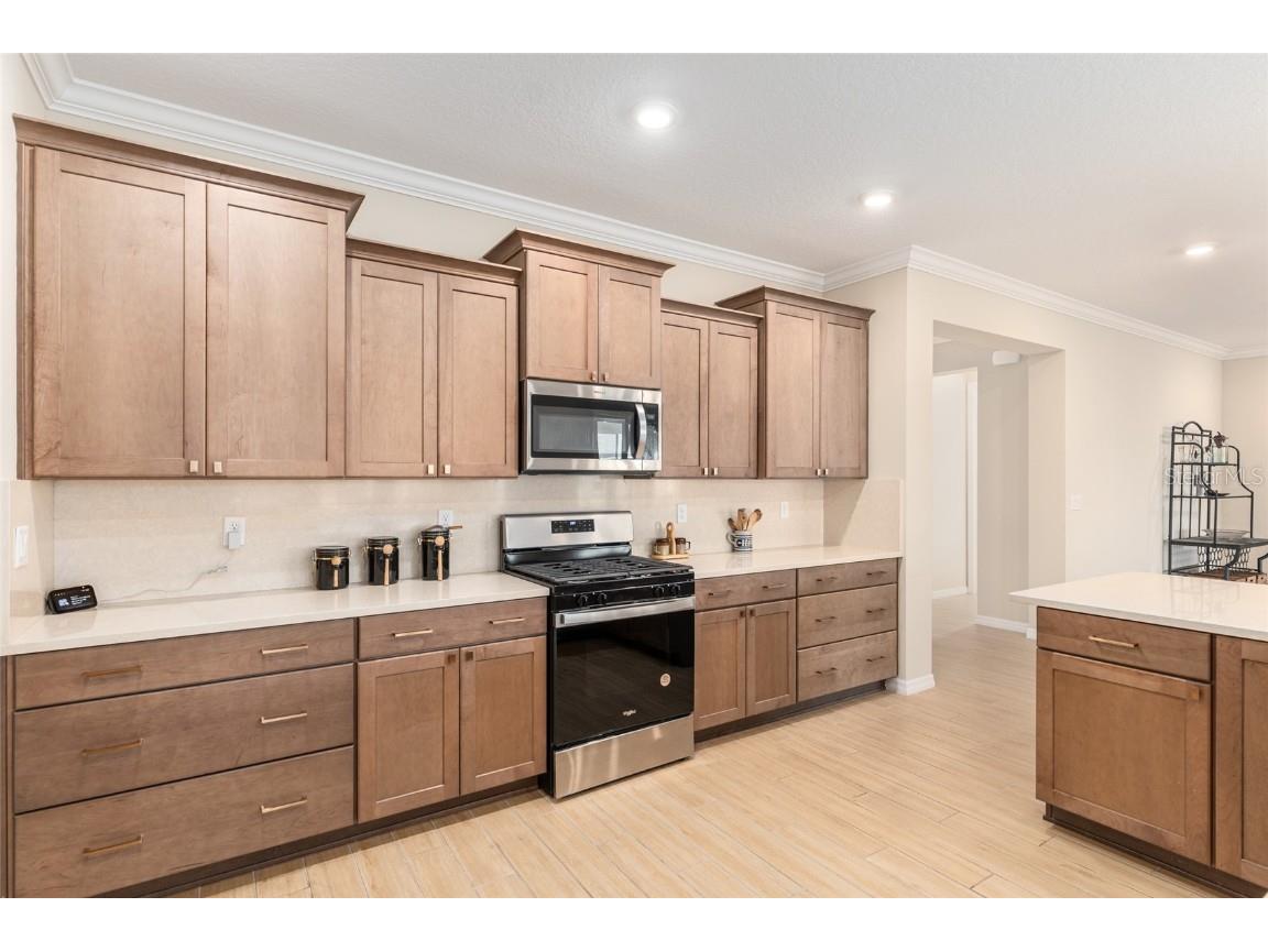 10621 SW 98th Lane Ocala FL 34481 OM715283 image27