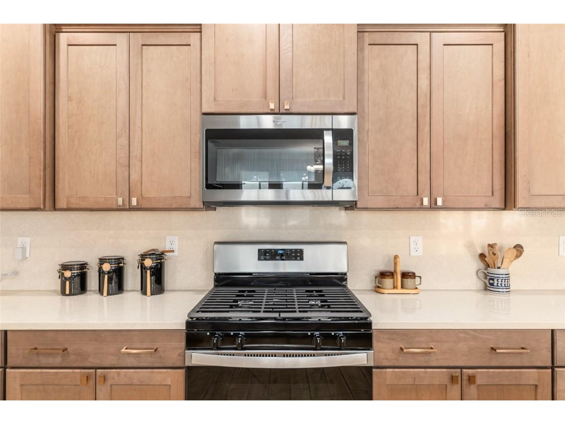 10621 SW 98th Lane Ocala FL 34481 OM715283 image28