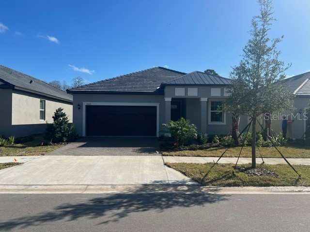 10622 Banyan Breeze Boulevard Land O Lakes FL 34638 T3491075 image1