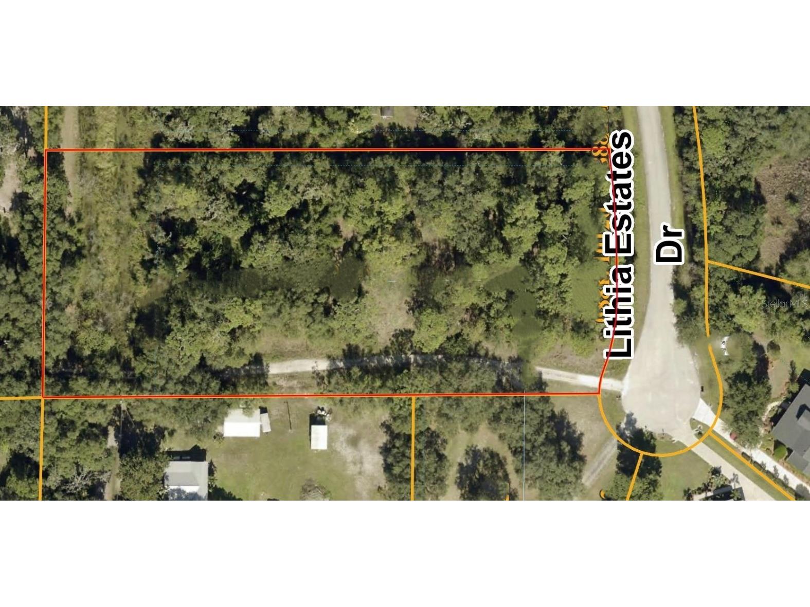 10623 Lithia Estates Drive Lithia FL 33547 T3482161 image1