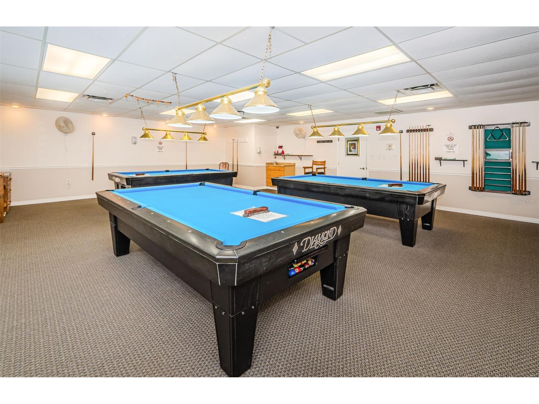 10623 Mira Vista Drive Port Richey FL 34668 W7884286 image50
