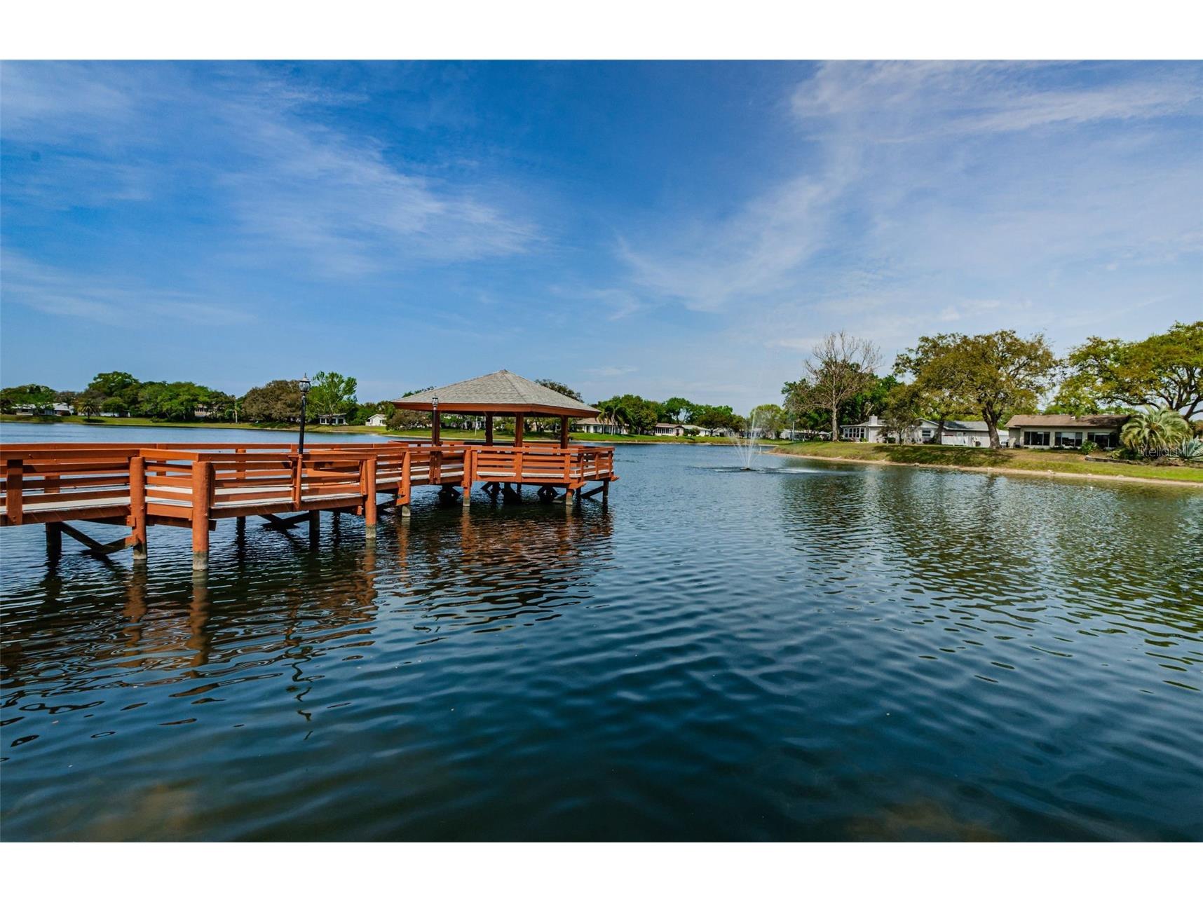10623 Mira Vista Drive Port Richey FL 34668 W7884286 image68
