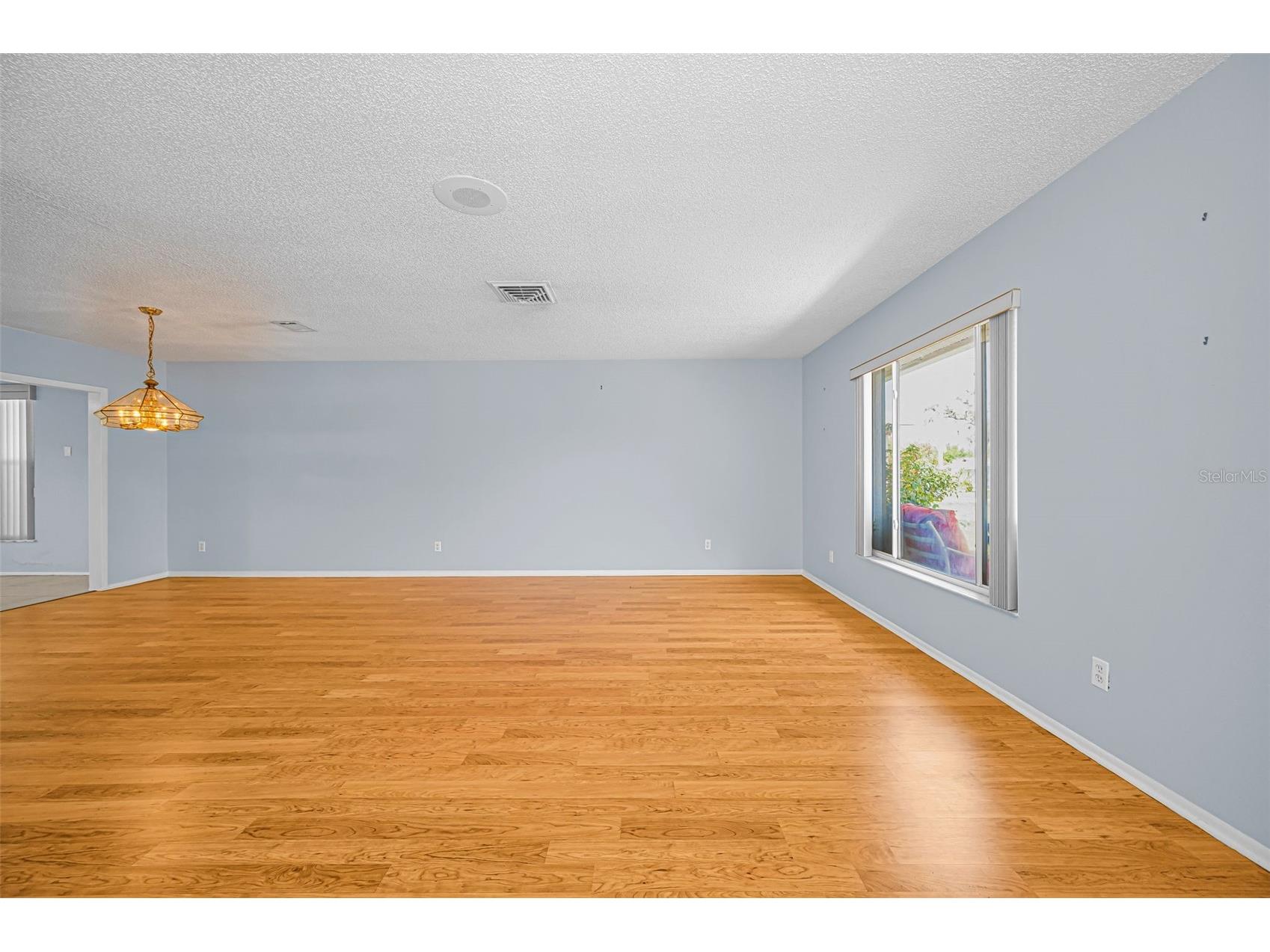 10623 Mira Vista Drive Port Richey FL 34668 W7884286 image8