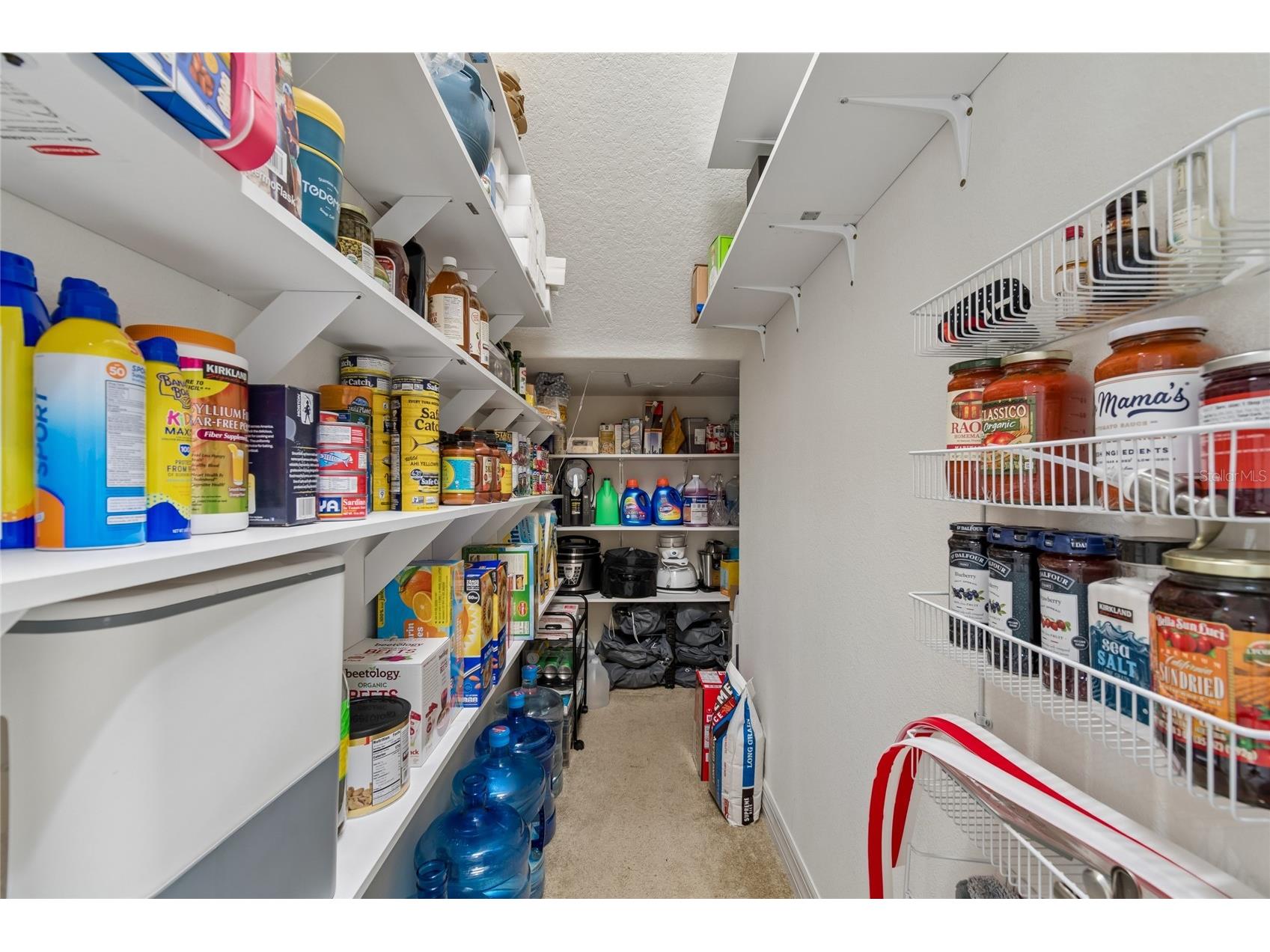 10623 Mistflower Lane Tampa FL 33647 TB8517049 image30