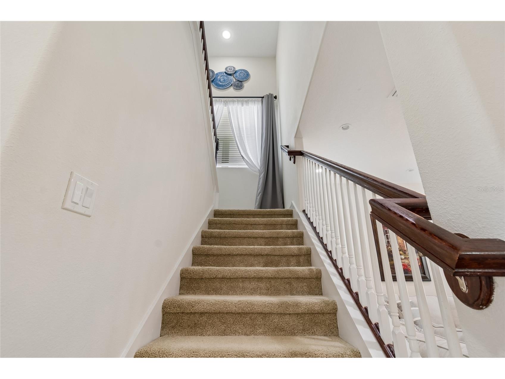 10623 Mistflower Lane Tampa FL 33647 TB8517049 image33