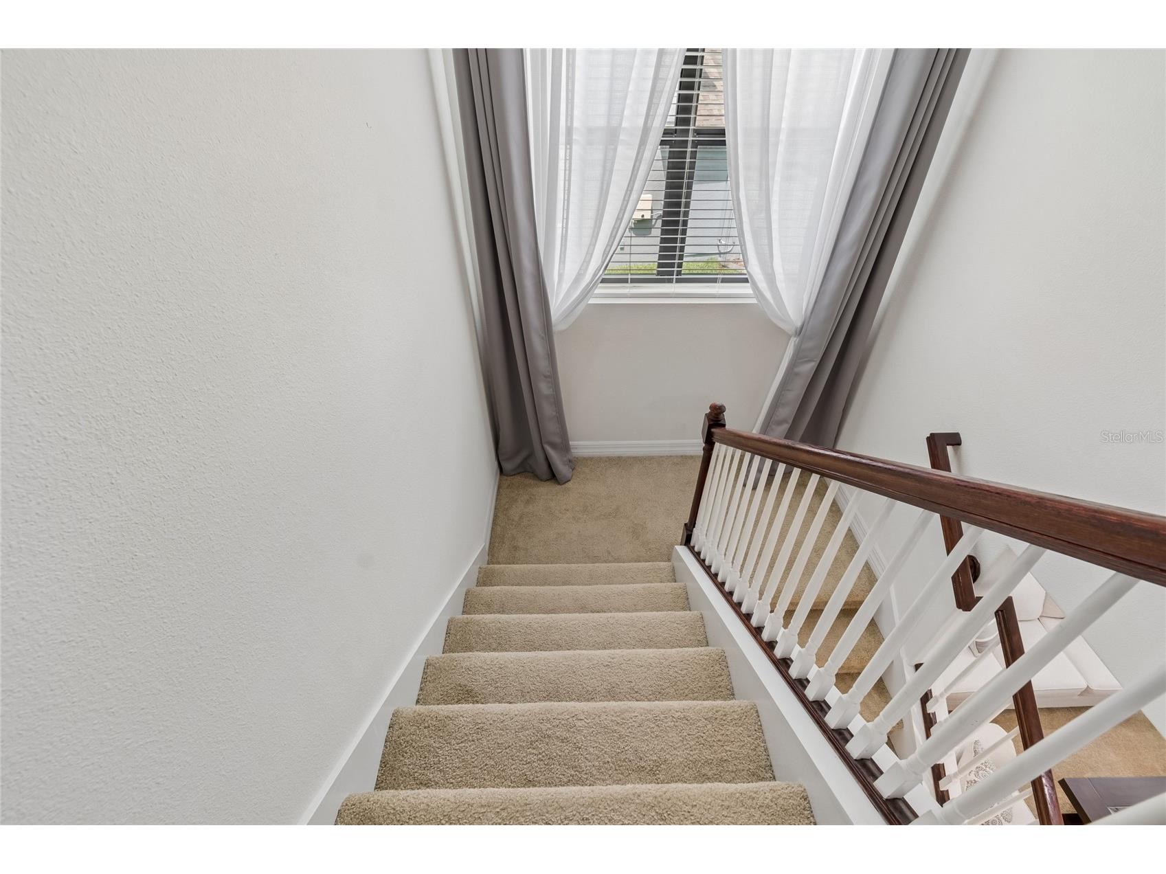 10623 Mistflower Lane Tampa FL 33647 TB8517049 image34
