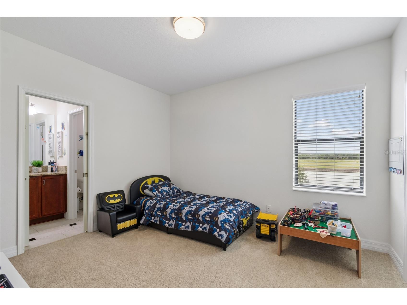 10623 Mistflower Lane Tampa FL 33647 TB8517049 image39