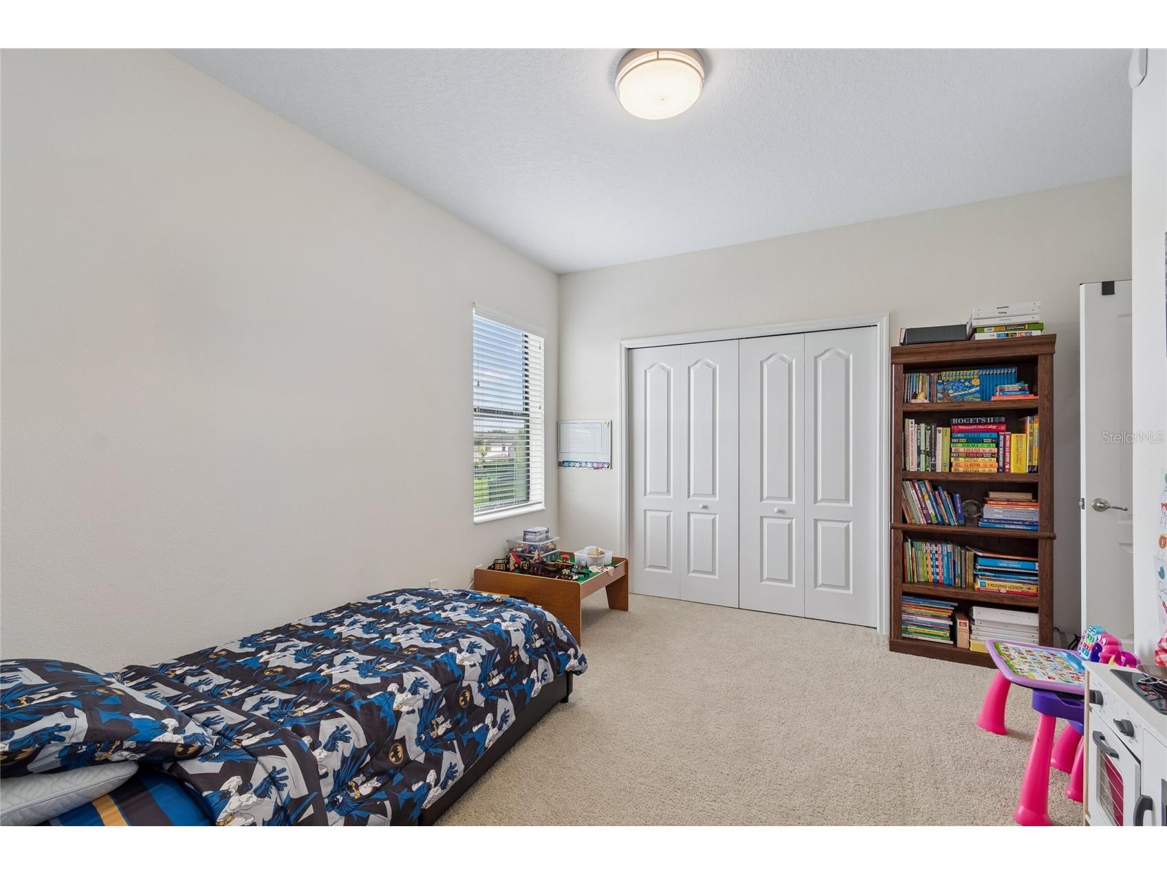 10623 Mistflower Lane Tampa FL 33647 TB8517049 image40