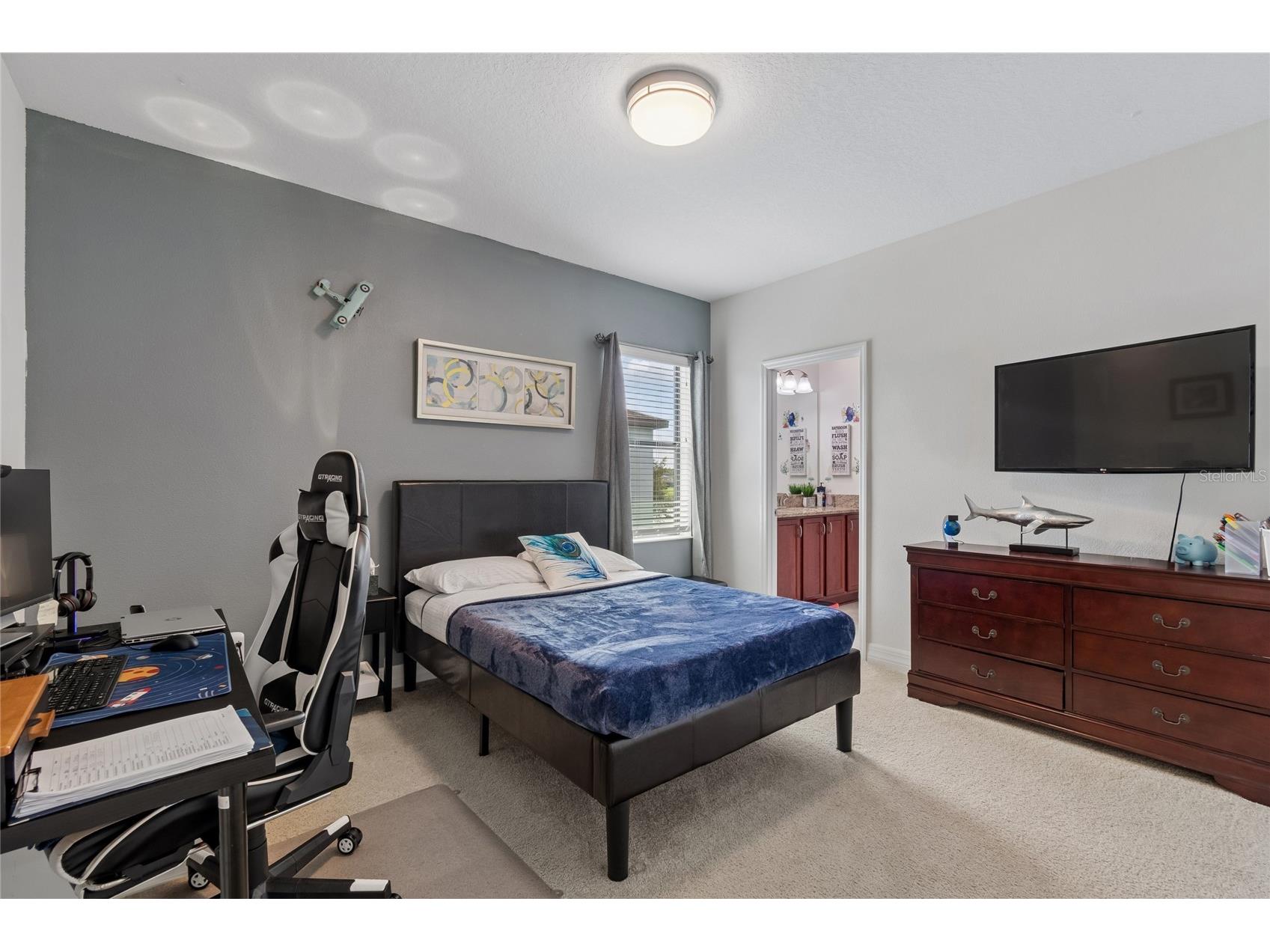 10623 Mistflower Lane Tampa FL 33647 TB8517049 image41