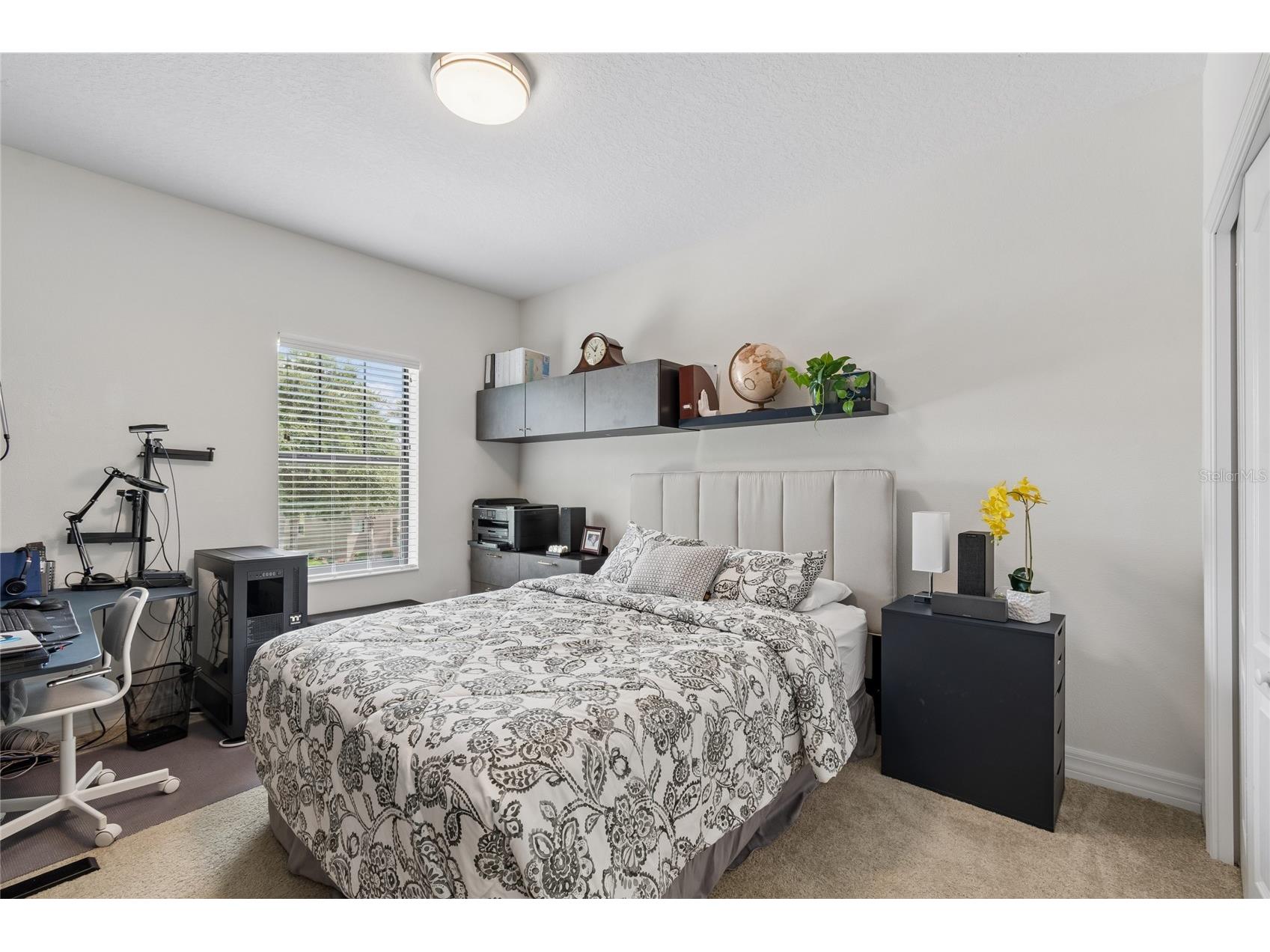 10623 Mistflower Lane Tampa FL 33647 TB8517049 image45