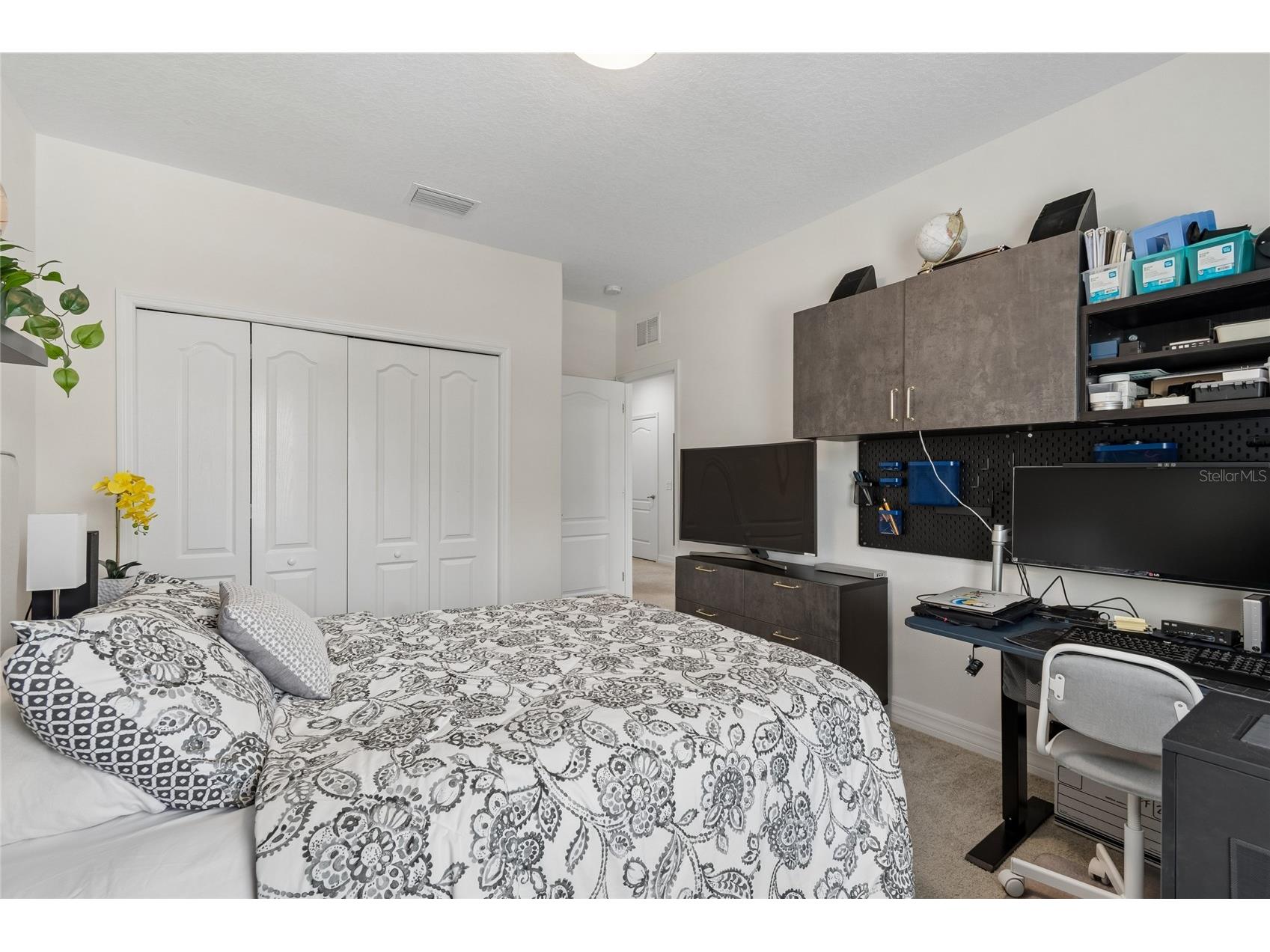 10623 Mistflower Lane Tampa FL 33647 TB8517049 image46