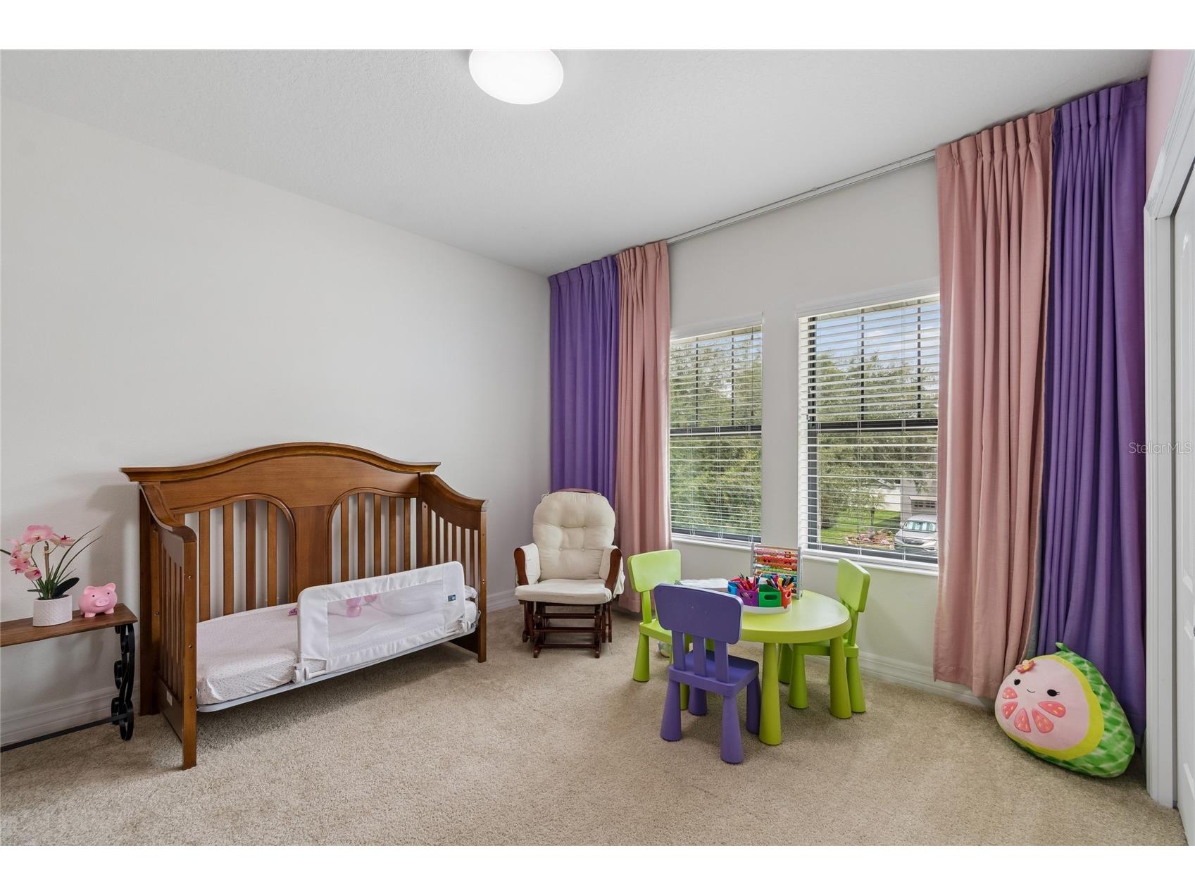 10623 Mistflower Lane Tampa FL 33647 TB8517049 image47