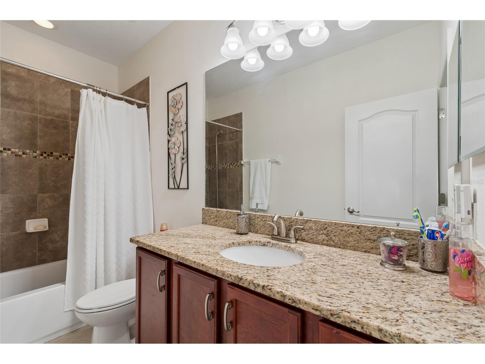 10623 Mistflower Lane Tampa FL 33647 TB8517049 image49