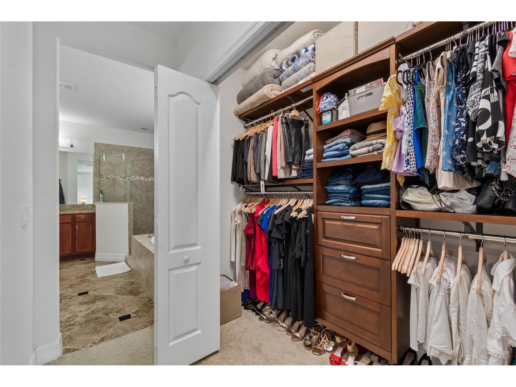 10623 Mistflower Lane Tampa FL 33647 TB8517049 image56