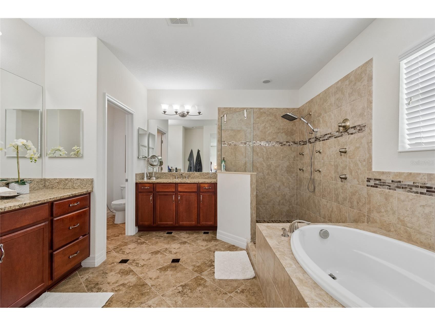 10623 Mistflower Lane Tampa FL 33647 TB8517049 image60