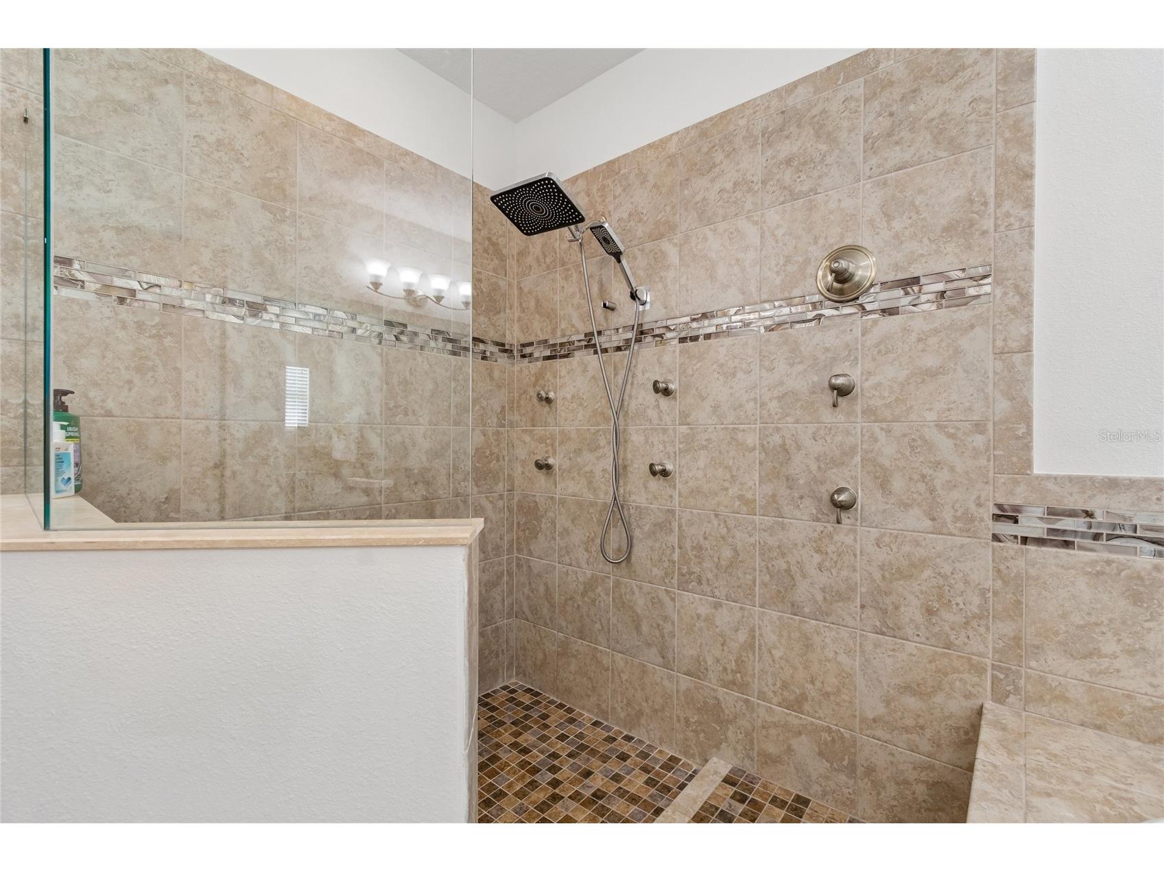 10623 Mistflower Lane Tampa FL 33647 TB8517049 image61