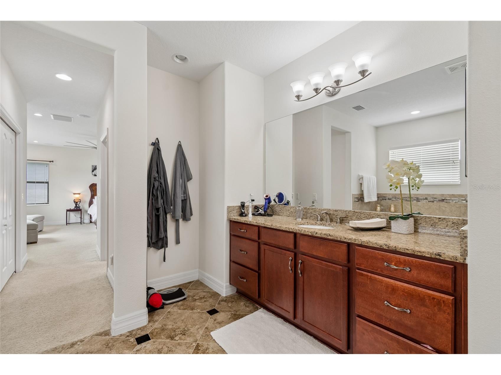 10623 Mistflower Lane Tampa FL 33647 TB8517049 image62