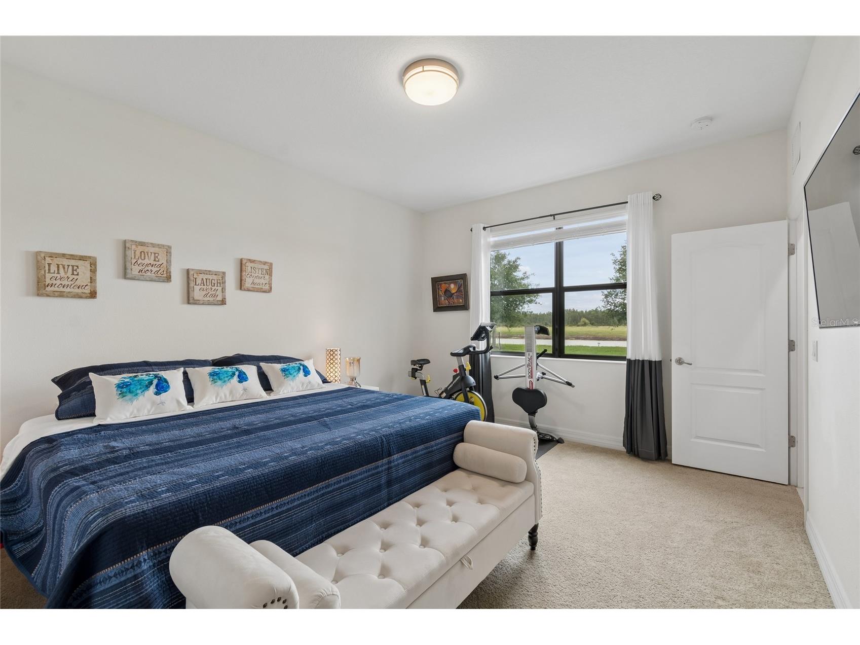 10623 Mistflower Lane Tampa FL 33647 TB8517049 image68