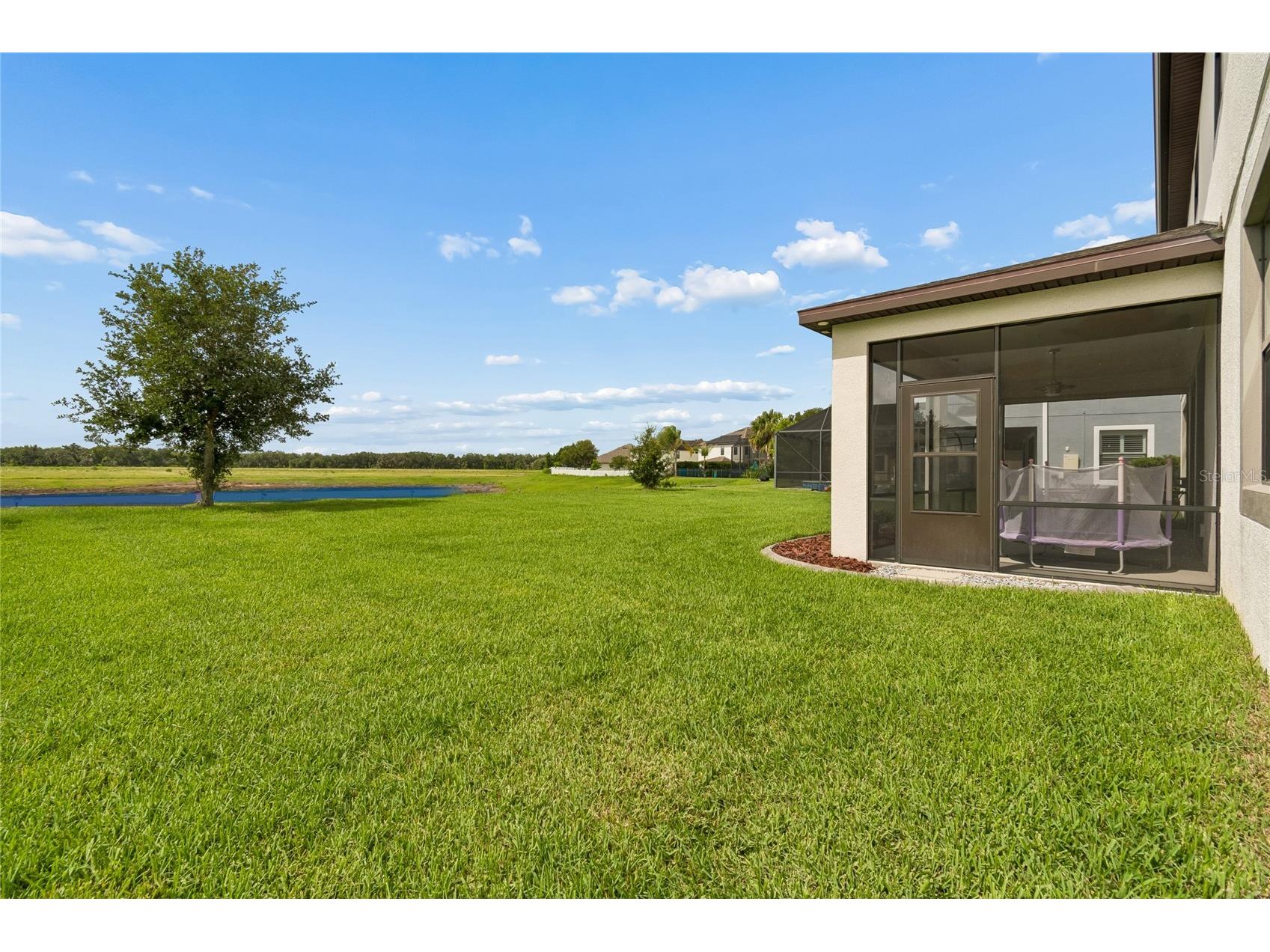 10623 Mistflower Lane Tampa FL 33647 TB8517049 image75