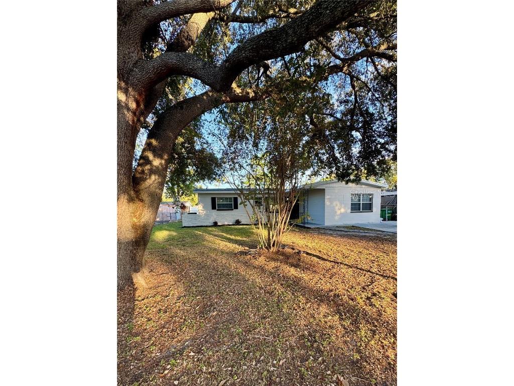 10623 N 25th Street Tampa FL 33612 TB8447949 image1