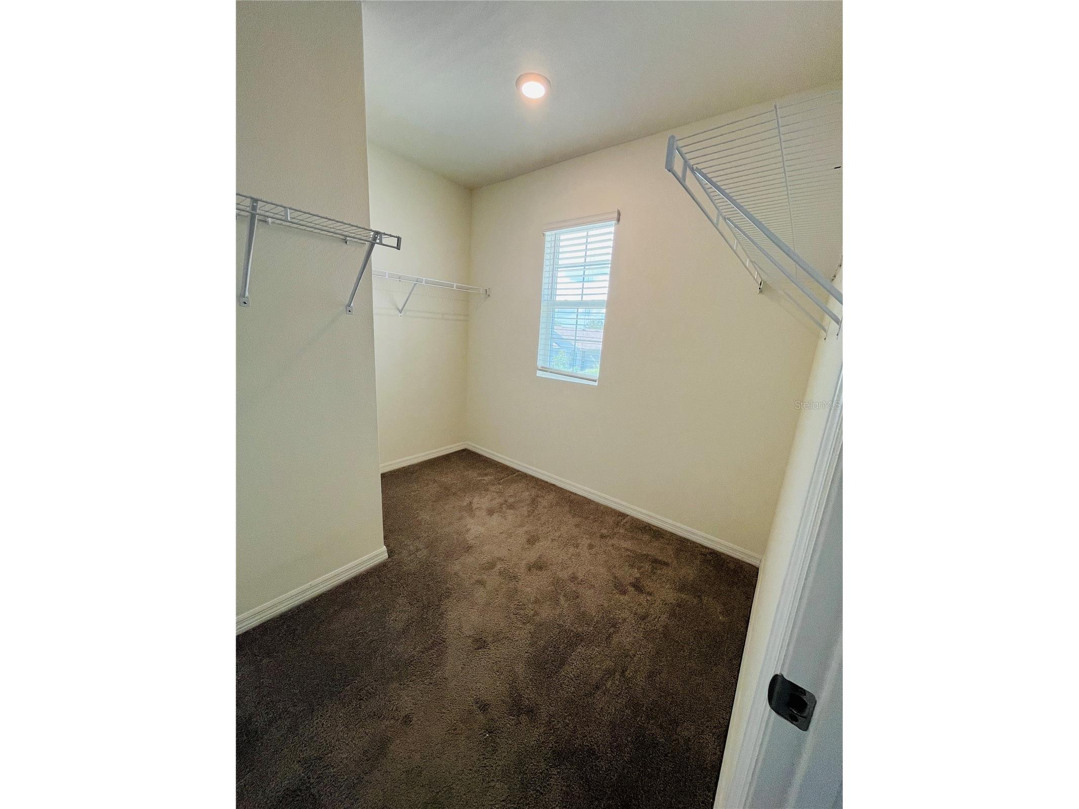 10624 Penny Gale Loop San Antonio FL 33576 TB8513815 image10