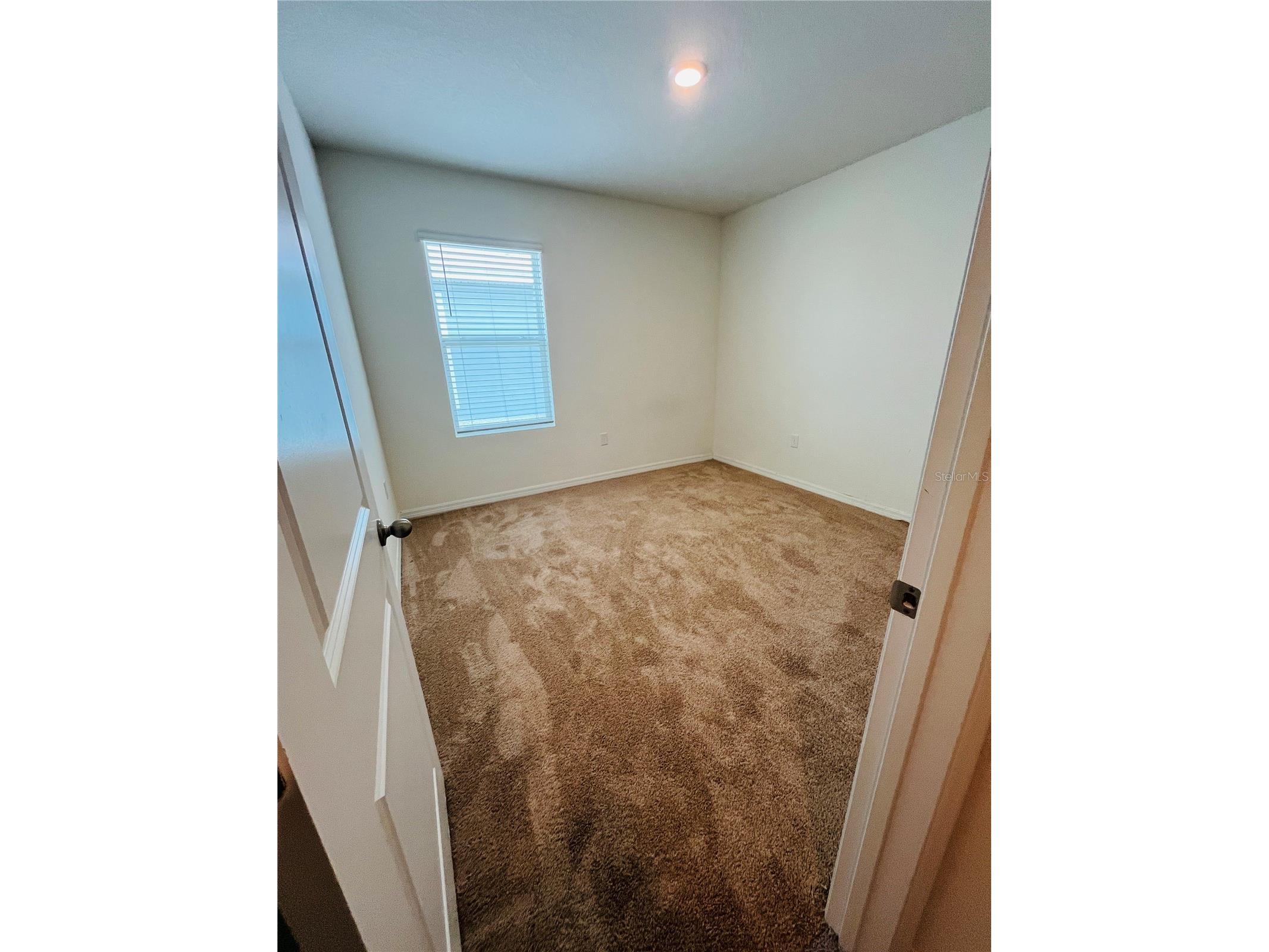 10624 Penny Gale Loop San Antonio FL 33576 TB8513815 image20